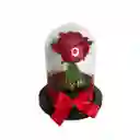 Rosa Eterna Roja Estándar