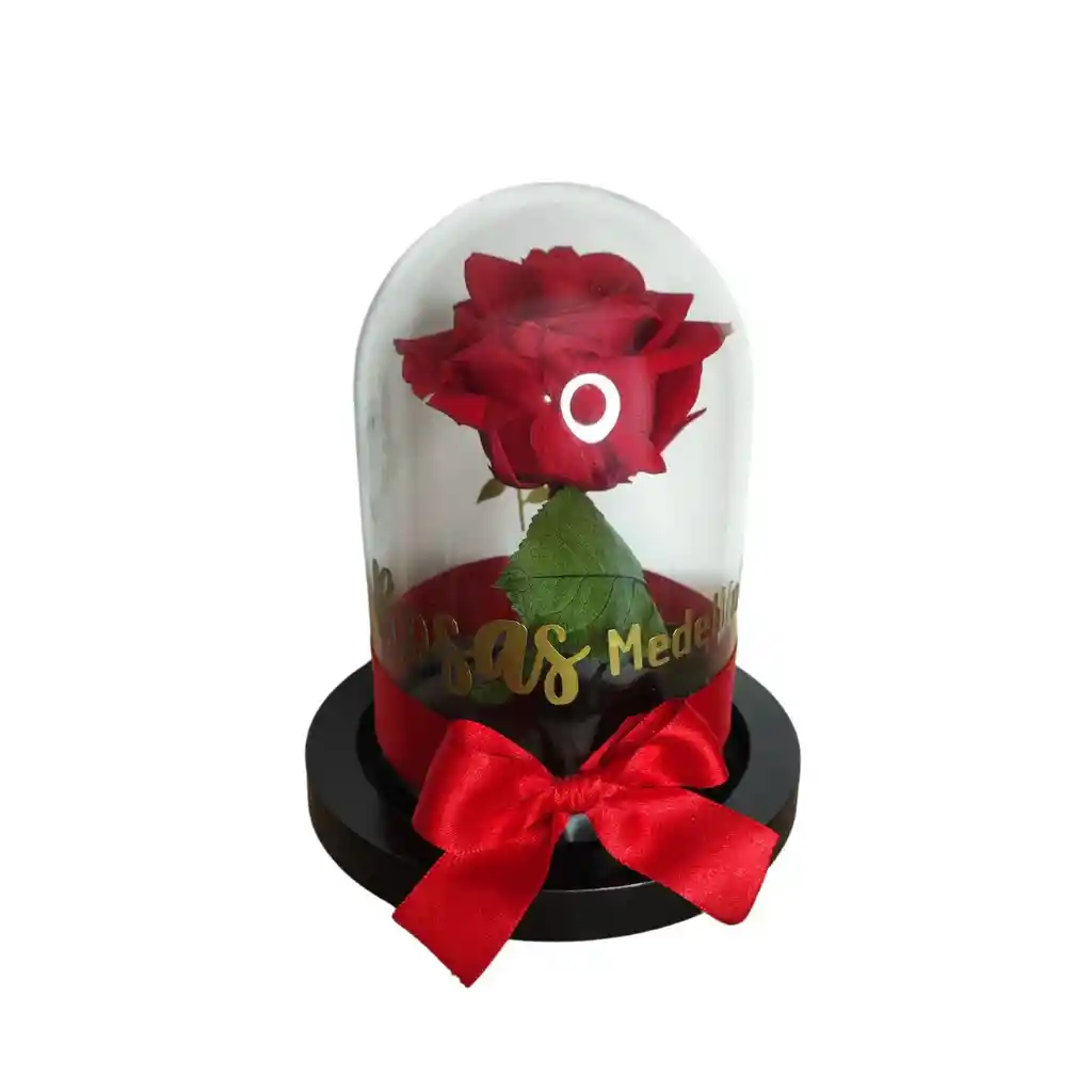 Rosa Eterna Roja Estándar
