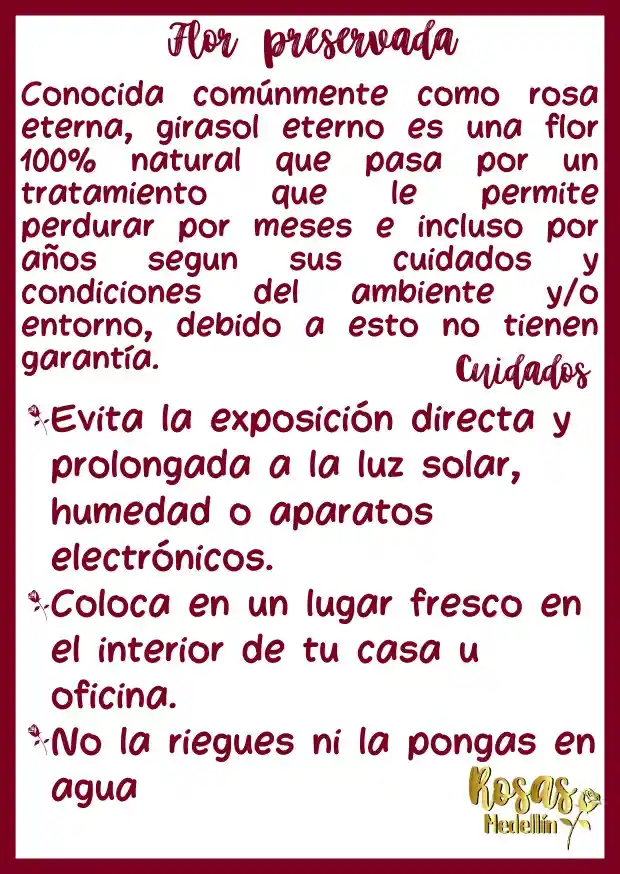 Rosa Eterna Roja Estándar