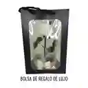 Rosa Eterna Roja Estándar