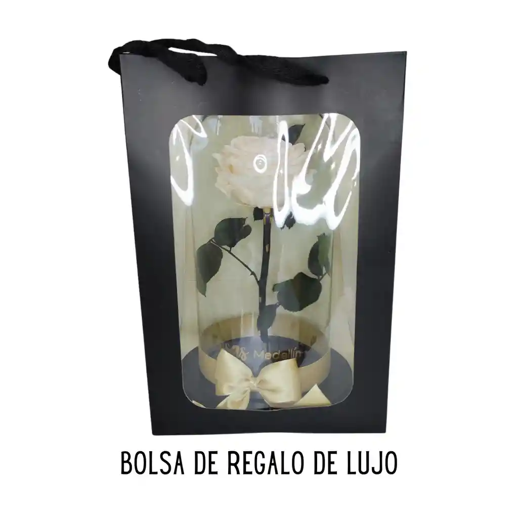 Rosa Eterna Roja Estándar