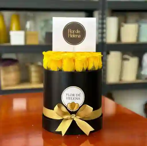 Flowerbox Flor De Helena