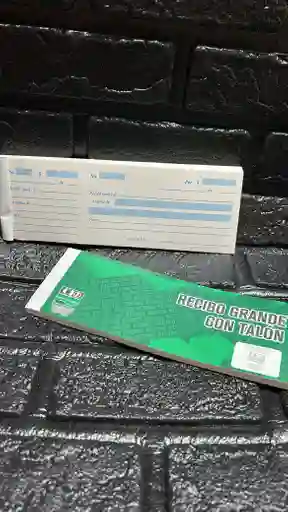 Recibo Talon Grande X80 Hojas