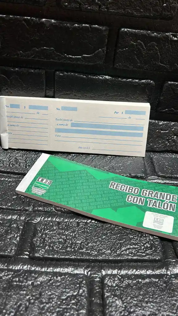 Recibo Talon Grande X80 Hojas