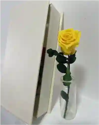 Rosa Amarilla Preservada En Caja De Lujo