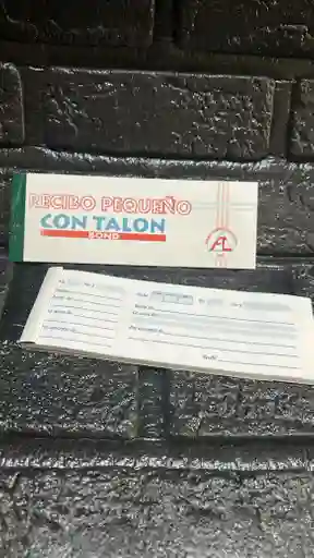 Recibo Talon Pequeño X80 Hojas
