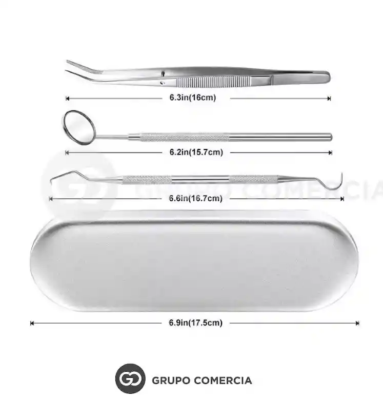 Kit Dental En Acero Inoxidable X 6 Piezas Con Estuche