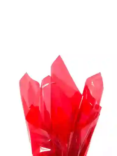 Papel Celofan Rojo