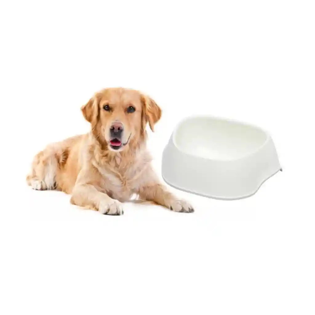 Comedero Perro Sensibowl 700 Ml Blanco