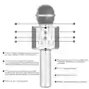 Micrófono Karaoke Parlante Bluetooth Recargable Ws-858 Plateado