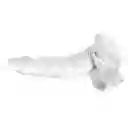 Dildo Gregorio Transparente X 20 Cm