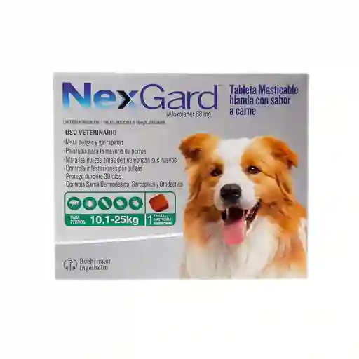 Nexgard Antipulgas Y Antigarrapatas 10 A 25 Kg