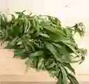 Cidron Organico Recien Cortado De La Huerta