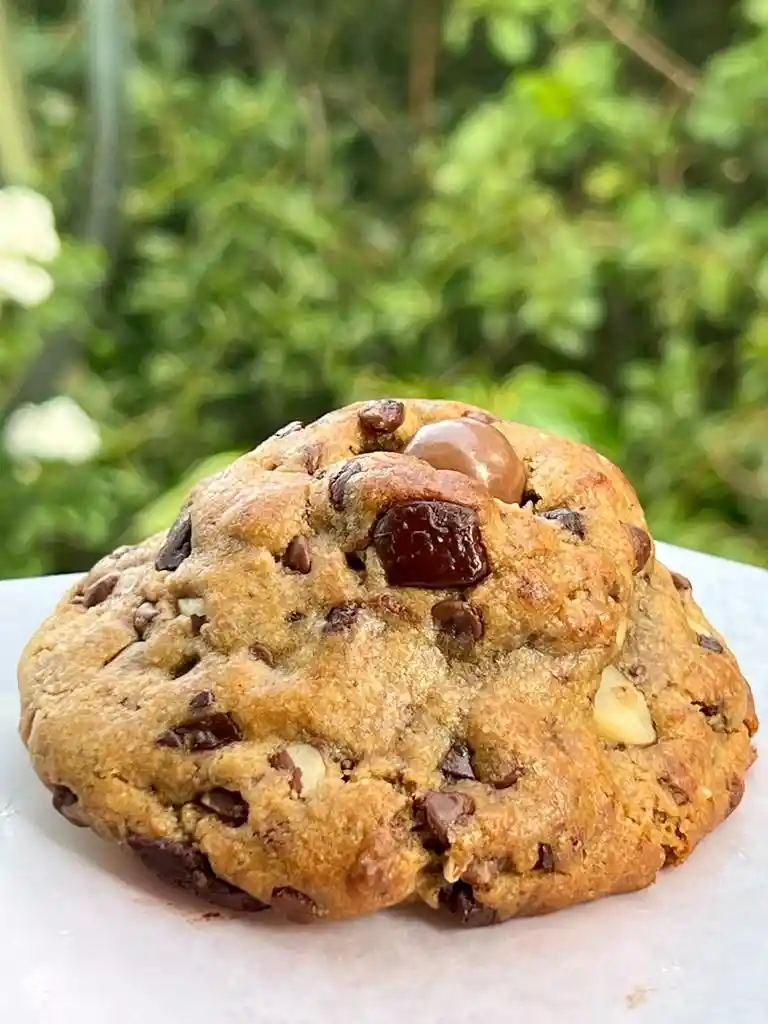 Chocolate Chips Nueces