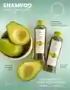 Shampoo Con Aguacate Anyeluz