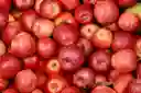 Manzana Gala