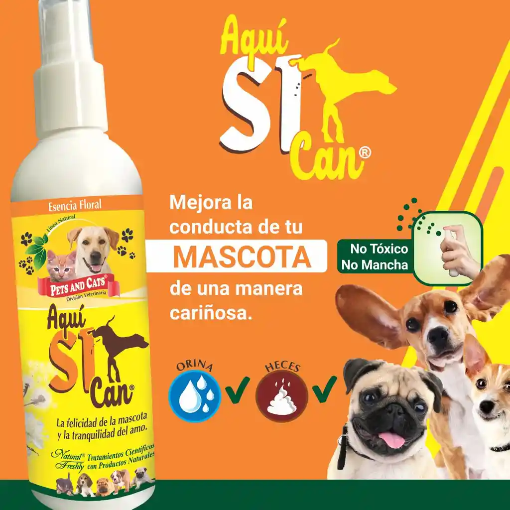 Aquí Si Can X 240 Ml