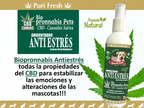 Rescate Para Mascotas Anti Estres Cbd 240ml