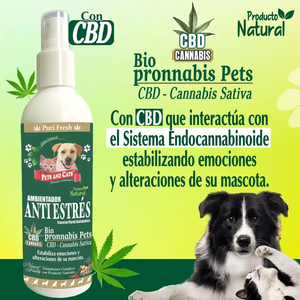 Rescate Para Mascotas Anti Estres Cbd 240ml