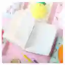 Libreta Squishy Kawai Zanahoria