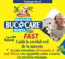 Enjuague Bucal Para Mascotas Enjuague Bucal Para Perros Y Gatos Bucocare 60 Gr