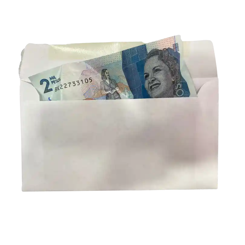 Paquete De Sobre Para Diezmo O Billetes X100 Unds Blanco