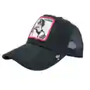 Gorra Animales Cachucha Hombre Mujer Malla Camionero Goorin