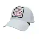 Gorra Animales Cachucha Hombre Mujer Malla Camionero Goorin