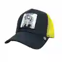 Gorra Animales Cachucha Hombre Mujer Malla Camionero Goorin