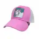 Gorra Animales Cachucha Hombre Mujer Malla Camionero Goorin