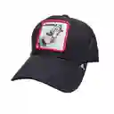 Gorra Animales Cachucha Hombre Mujer Malla Camionero Goorin