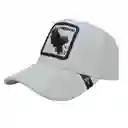 Gorra Animales Cachucha Hombre Mujer Malla Camionero Goorin