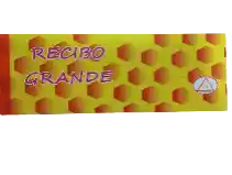 Recibo Grande Con Talon