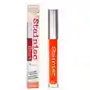 The Balm Tinta De Labios Stainiac Homecoming Queen 4ml