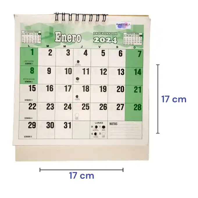 Calendario Programador 2024 Escritorio Pequeño Verde Rappi