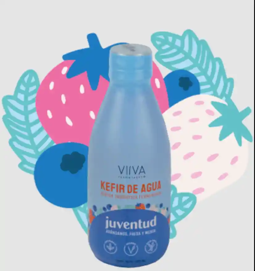 Kefir Juventud Arándanos, Fresa Y Menta 280ml