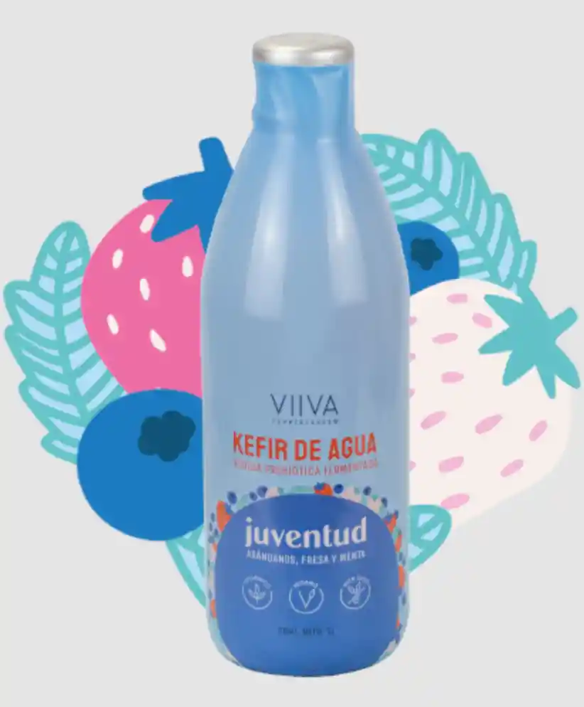 Kefir Juventud Arándanos, Fresa Y Menta 1 Litro