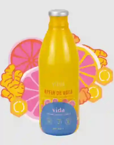 Kefir Vida Cúrcuma, Jengibre Y Promelo 1 Litro