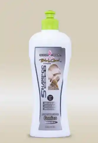 Shampoo Tono Sobre Tono Cenizo