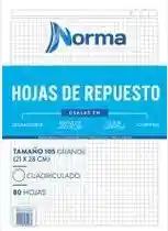 Hojas De Repuesto 105 Cuadriculadas 21x28cm Marca Norma X80 Hojas