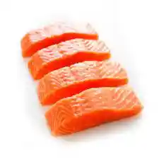 Salmon