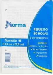 Hojas De Repuesto 95 Cuadriculadas 16x23cm Marca Norma X80 Hojas