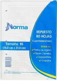 Hojas De Repuesto 95 Cuadriculadas 16x23cm Marca Norma X80 Hojas