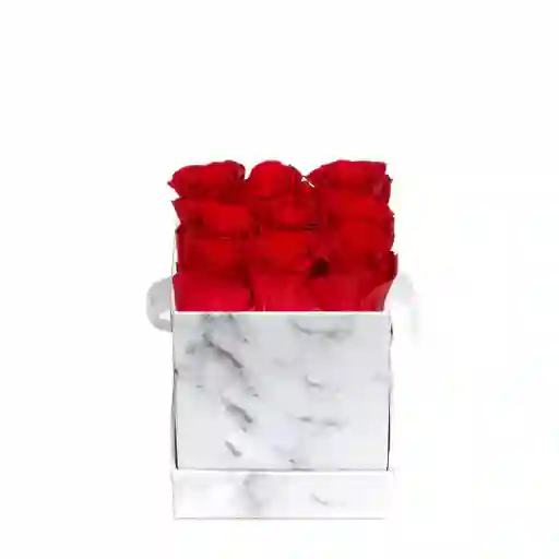 Caja Top Blanca Mármol Con Rosas Rojas Preservadas