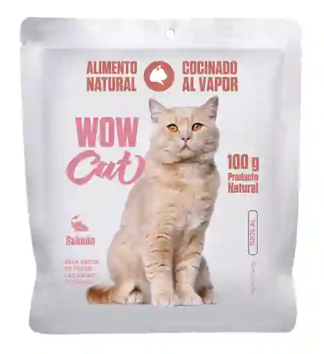 Alimento Para Gato Cocido Al Vapor Wow Can Para Gato De Salmon 100 Gr