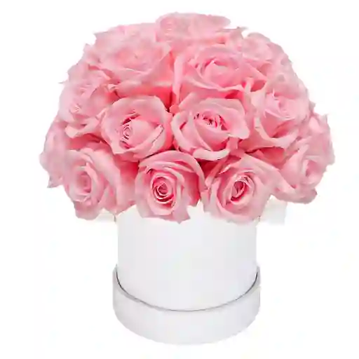 Caja Top Blanca Con Rosas Rosadas Preservadas