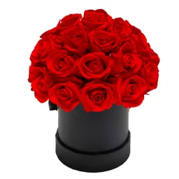 Caja Top Negra Con Rosas Rojas Preservadas