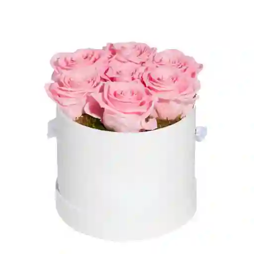 Caja Top Cilíndrica Blanca Premium Con Rosas Mini Rosada