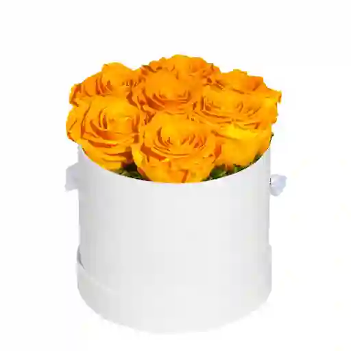 Caja Top Cilíndrica Blanca Premium Con Rosas Mini Amarillas