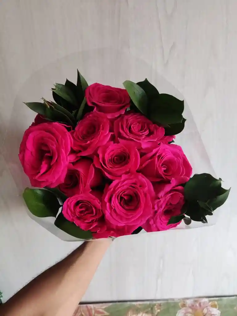 12 Rosas Fucsia De La Mejor Calidad